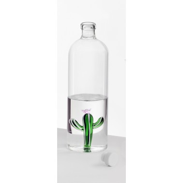 Bouteille en verre cactus